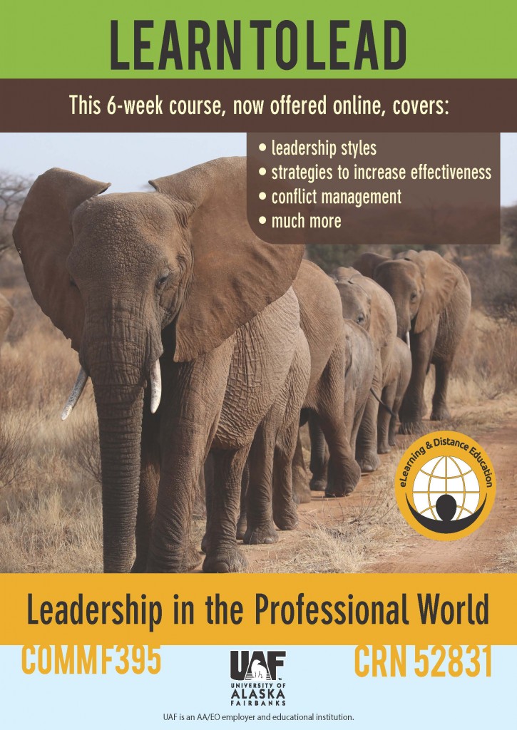 leadership in the professional world