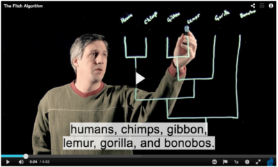 Humans, chimps, gibbons, lemur, gorilla, and bonobos listed in Devin Drown's Learning Glass lecturette